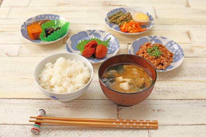 How to cook japanese style cuisine