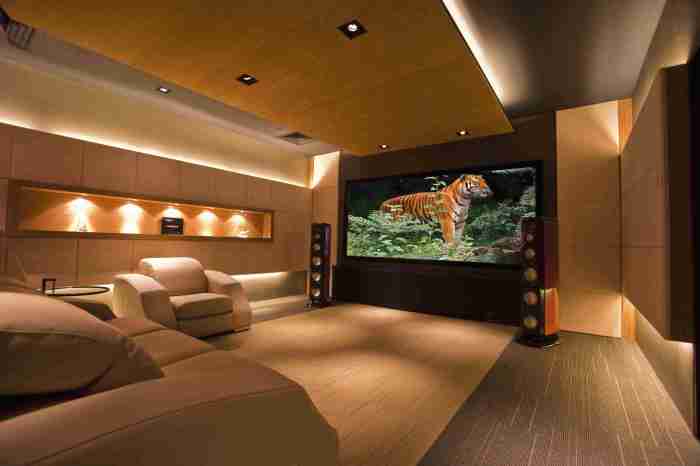 Theater hgtv cinema